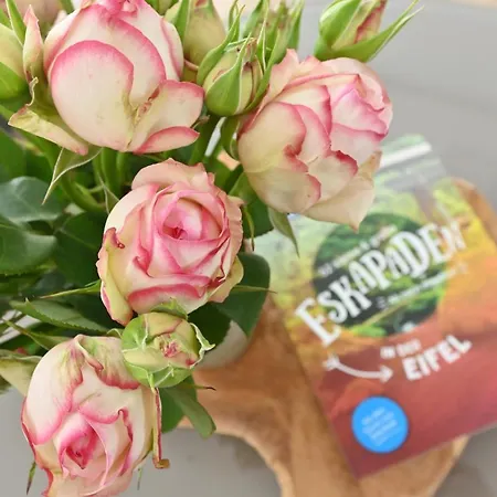 Quartier Oberhut Bad Neuenahr-Ahrweiler