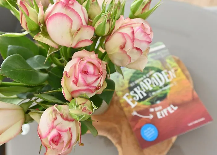 Quartier Oberhut 巴特诺因阿尔-阿尔韦勒